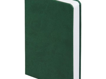 Ежедневник Basis Mini, недатированный, зеленый