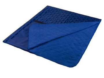 Плед для пикника Comfy, ярко-синий
