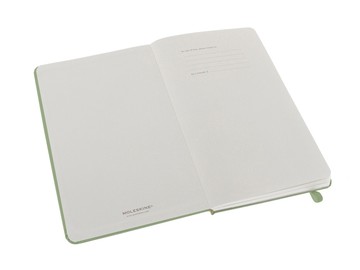 Записная книжка Moleskine Classic (нелинованный) в твердой обложке, Large (13х21см), фисташковый