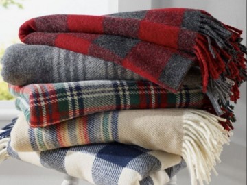 Графика              полос и клеток